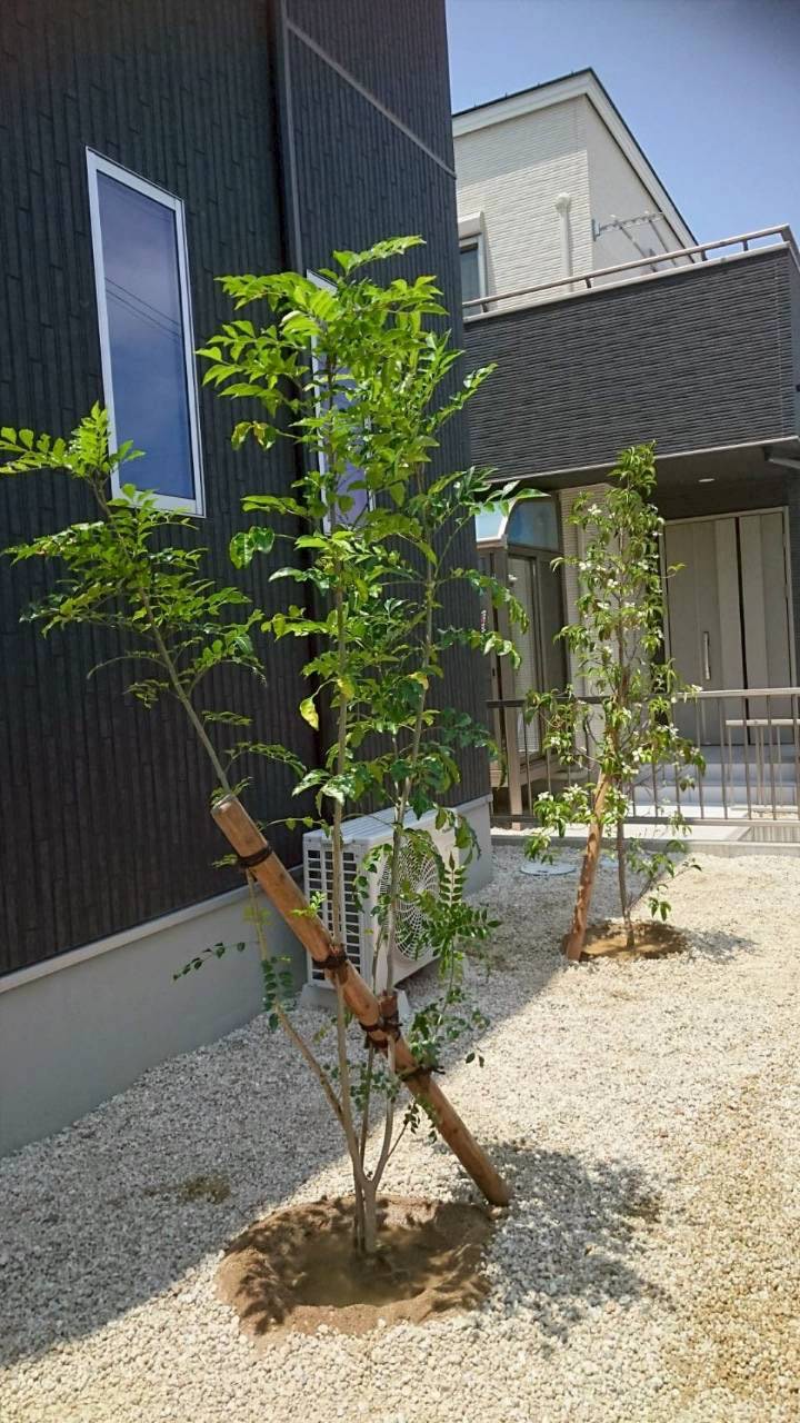 植栽・造園